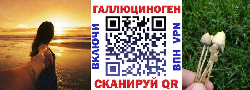 Галлюциногенные грибы GOLDEN TEACHER  Заринск 