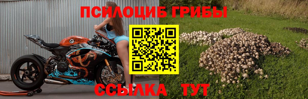 Псилоцибиновые грибы Magic Shrooms  Вход с VPN  Заринск 